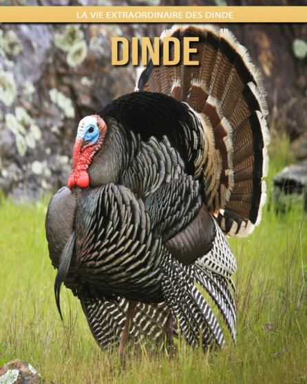 Dinde : La Vie Extraordinaire des Dinde