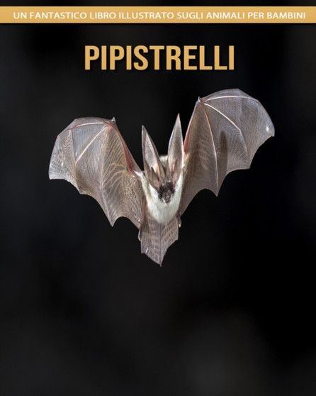Pipistrelli : Un fantastico libro illustrato sugli animali per bambini
