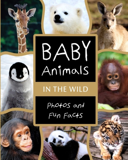 Baby Animals in the Wild : Photos and Fun Facts
