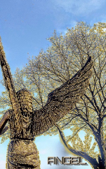 golden Angel glitter blank Creative journal : golden Angel glitter blank Creative journal by Sir Michael Huhn - Hardback