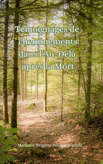 Temoignages de cheminements dans l'Au-dela apres la mort (couverture rigide) by Madame Brigitte Pelagie - Hardback