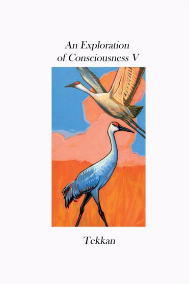 An Exploration of Consciousness V by Tekkan - Paperback