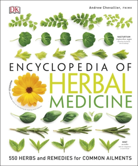 Encyclopedia Of Herbal Medicine : 550 Herbs and Remedies for Common Ailments by Andrew Chevallier - Hardback