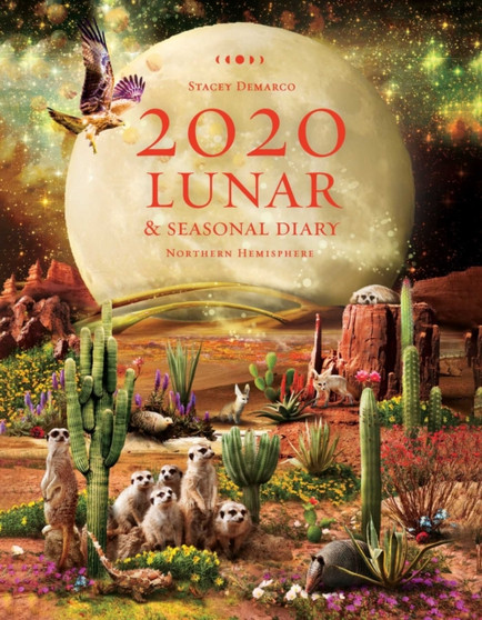 2020 Lunar Diary : Northern Hemisphere by Stacey Demarco - Hardback