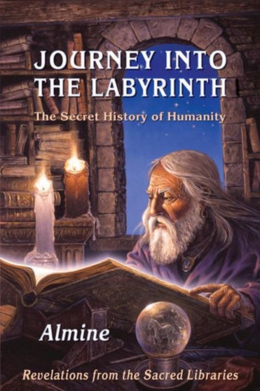Journey into the Labyrinth : The Secret History of HumanityRevelations from the Sacred Libraries by Almine - Paperback