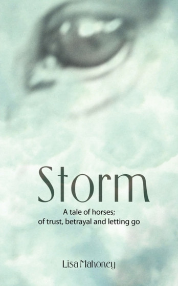 Storm by Lisa Mahoney - Paperback