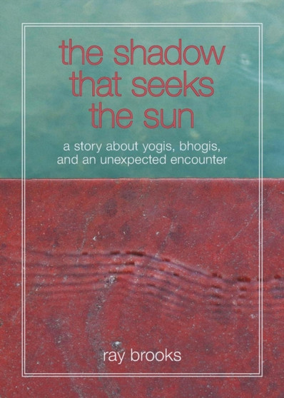 The Shadow That Seeks the Sun : A Story about Yogis, Bhogis, and an Unexpected Encounter by Ray Brooks - Paperback