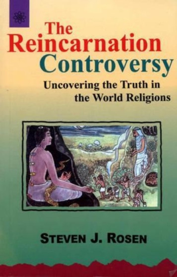 The Reincarnation Controversy by Stephen Rosen - Paperback