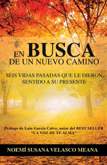 En busca de un nuevo camino : Seis vidas pasadas que le dieron sentido a su presente by Noemi Susana Velasco Meana - Paperback