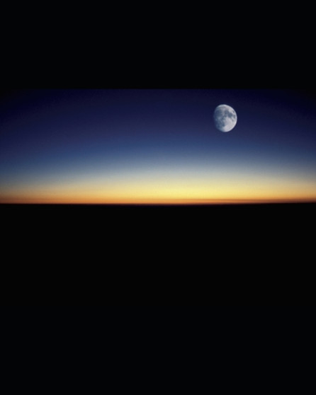 The Book of Shadows : a collection of magick : 1 by Lorena Elizabeth Black - Paperback