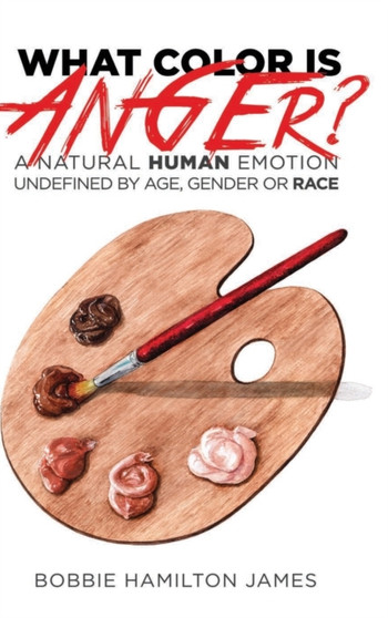 What Color Is Anger by Bobbie D Hamilton-James - Hardback