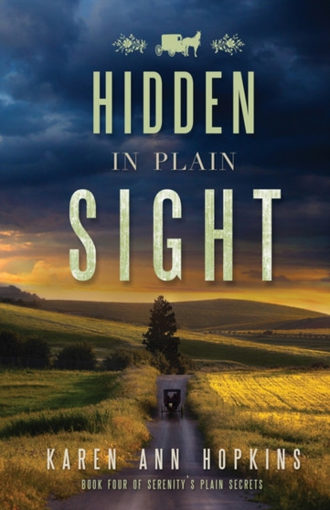 Hidden in Plain Sight : 4