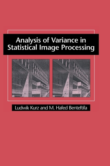 Analysis of Variance in Statistical Image Processing by Ludwik Kurz - Hardback