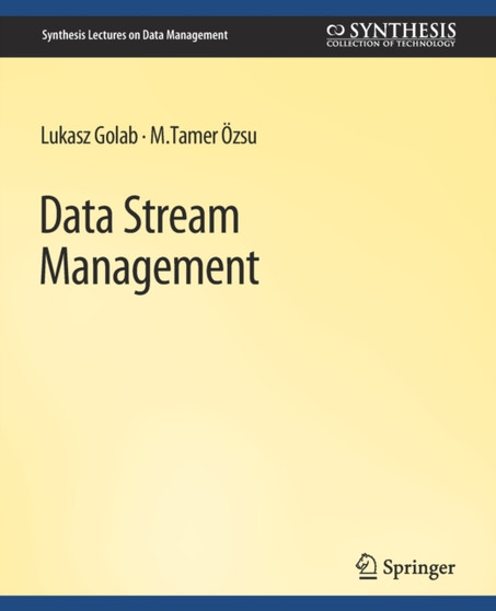 Data Stream Management by Lukasz Golab - Paperback