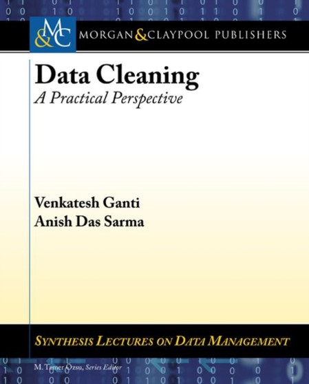 Data Cleaning : A Practical Perspective by Venkatesh Ganti - Paperback