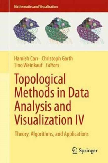 Topological Methods in Data Analysis and Visualization IV : Theory, Algorithms, and Applications by Hamish Carr - Hardback