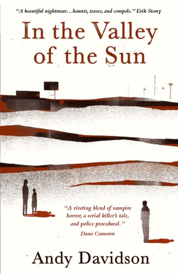 In the Valley of the Sun by Andy Davidson - Paperback