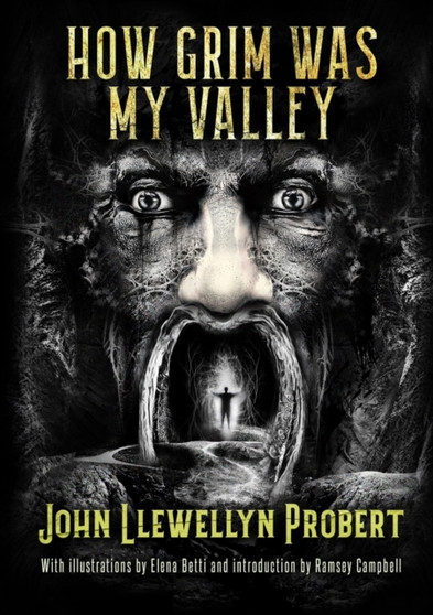 How Grim Was My Valley by John Llewellyn Probert - Paperback