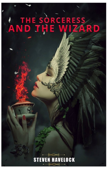 The Sorceress and the Wizard by Steven Havelock - Paperback