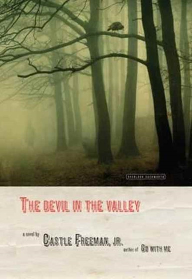 The Devil in the Valley by Castle Freeman - Paperback