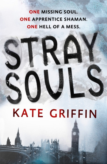 Stray Souls by Kate Griffin - Paperback