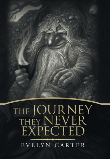 The Journey They Never Expected by Evelyn Carter - Hardback
