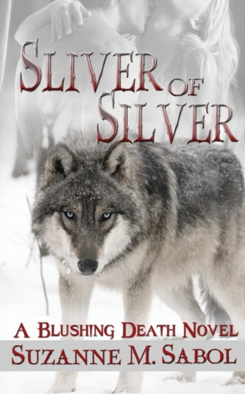 Sliver of Silver by Suzanne M Sabol - Paperback
