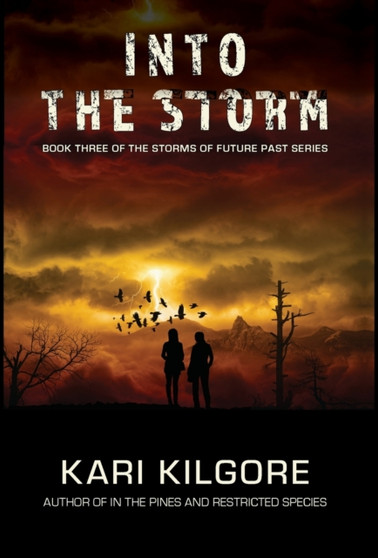 Into the Storm : 3 by Kari Kilgore - Hardback