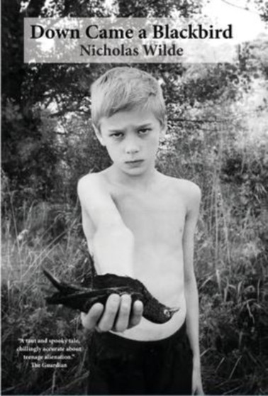 Down Came a Blackbird by Nicholas Wilde - Hardback