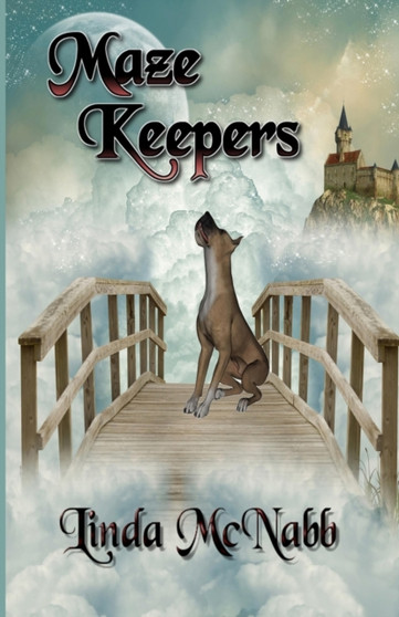 Maze Keepers by Linda McNabb - Paperback