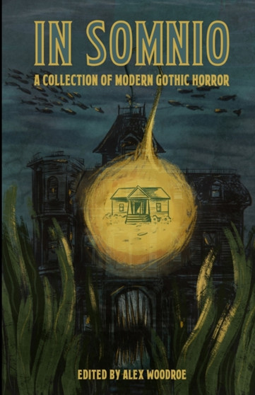 In Somnio : A Collection of Modern Gothic Horror by Alex Woodroe - Paperback