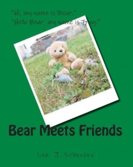 Bear Meets Friends