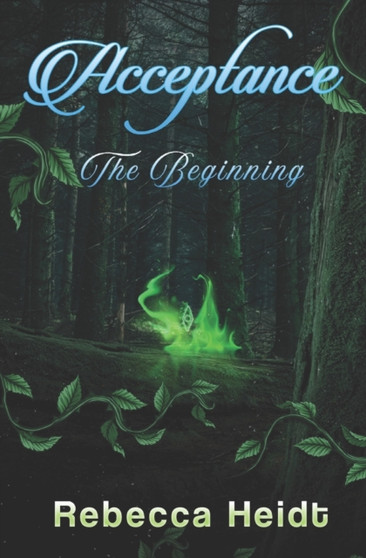 Acceptance : The Beginning by Rebecca Heidt - Paperback