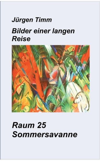 Raum 25 Sommersavanne by Jurgen Timm - Paperback