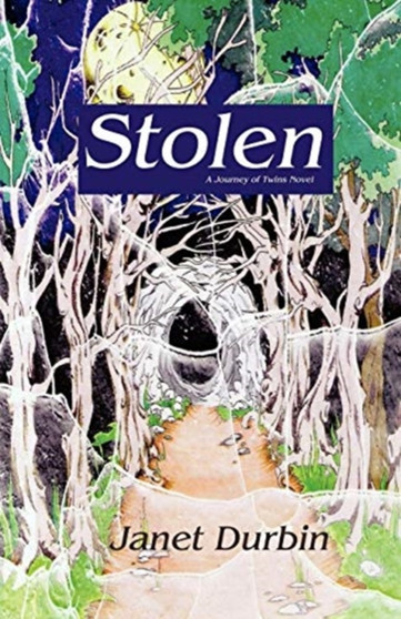 Stolen by Janet L Durbin - Paperback
