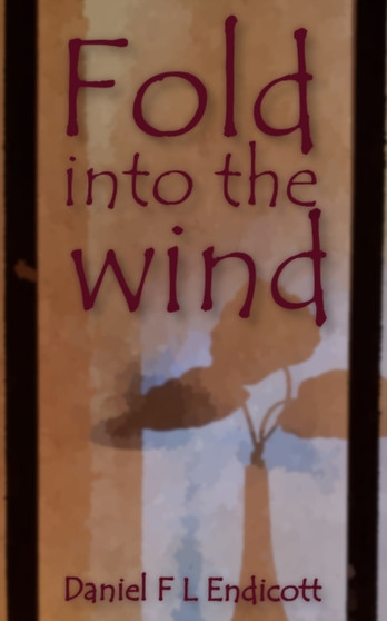 Fold into the wind by Daniel F L Endicott - Paperback