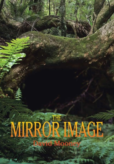 The Mirror Image by David Mooney - Hardback