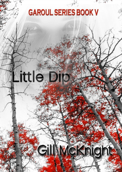 Little Dip : 5 by Gill McKnight - Paperback