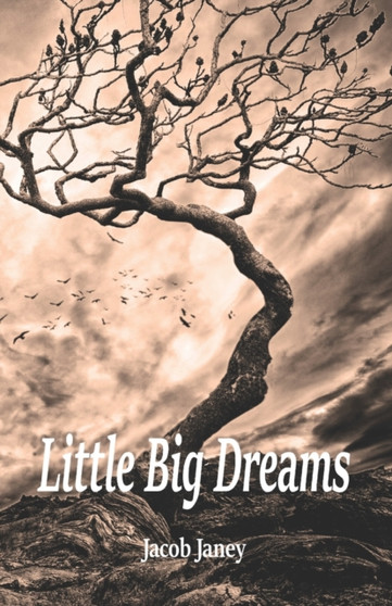 Little Big Dreams : 1