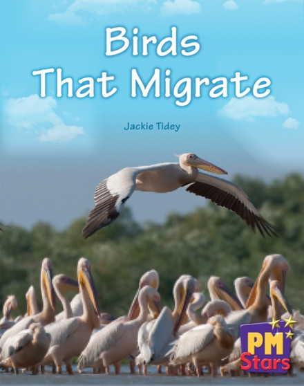 Birds That Migrate