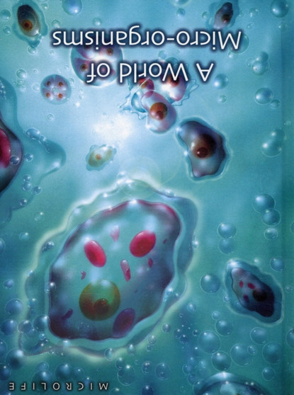 A World of Micro-organisms