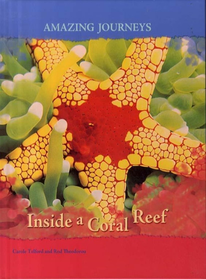 Inside a Coral Reef