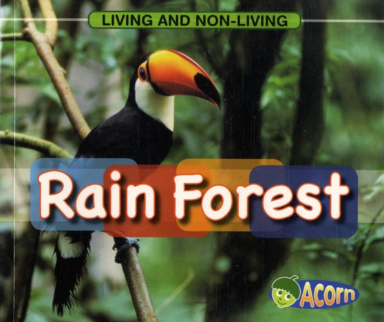 In a Rain Forest