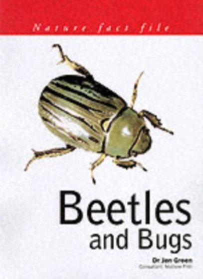 Beetles and Bugs