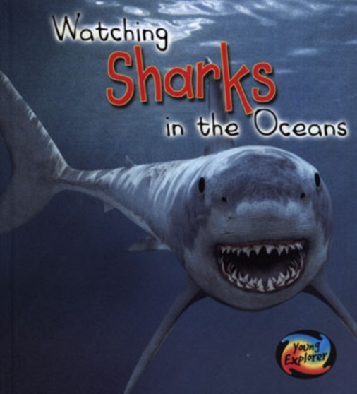 Watching Sharks in the Oceans