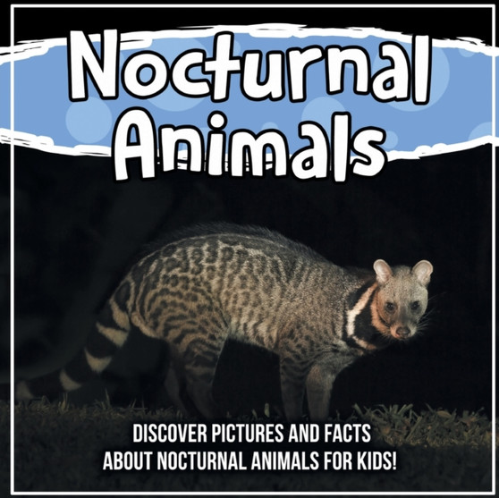 Nocturnal Animals : Discover Pictures and Facts About Nocturnal Animals For Kids!