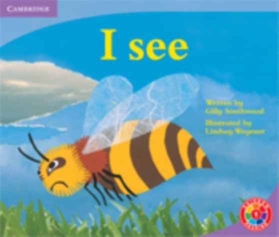 Rainbow Reading Level 1 - My Story: I See Box A