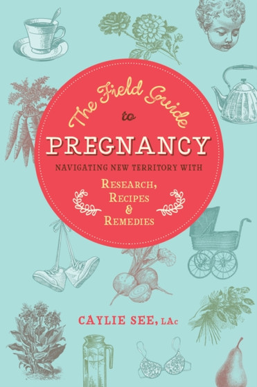 The Field Guide to Pregnancy : Navigating New Territory with Research, Recipes, and Remedies