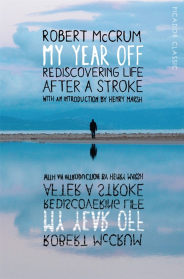 My Year Off : Rediscovering Life After a Stroke