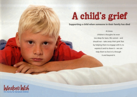 A Child's Grief : Supporting a Child When Someone in Their Family Has Died